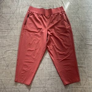 Torrid Pink Ankle Walking Pants Size 2